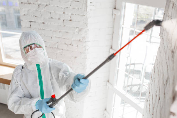 Best Asbestos and Lead Testing During Mold Inspection  in Crestwood, MO