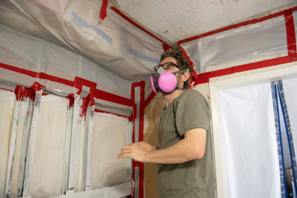  Crestwood, MO Mold Removal Pros