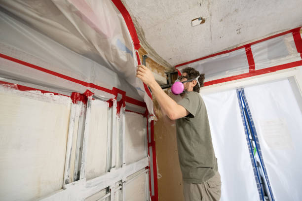 Best Residential Mold Inspection & Testing  in Crestwood, MO