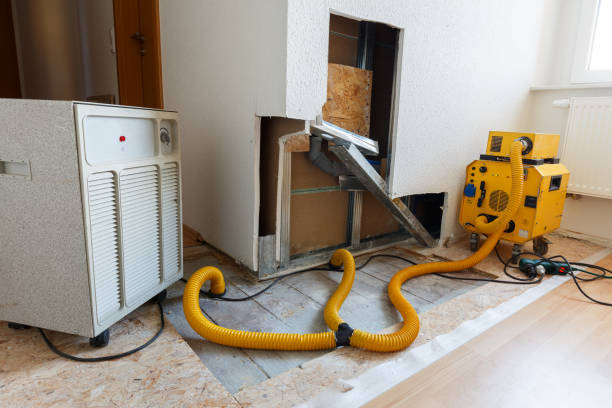 Best Mold Odor Removal Services  in Crestwood, MO