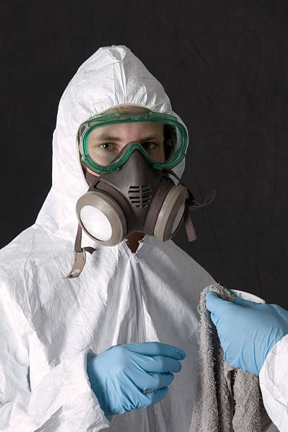 Best Environmental Consulting for Mold Prevention  in Crestwood, MO